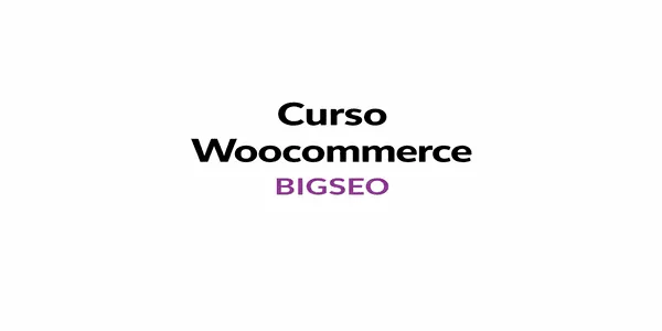 Curso De Woocommerce - BIG S.