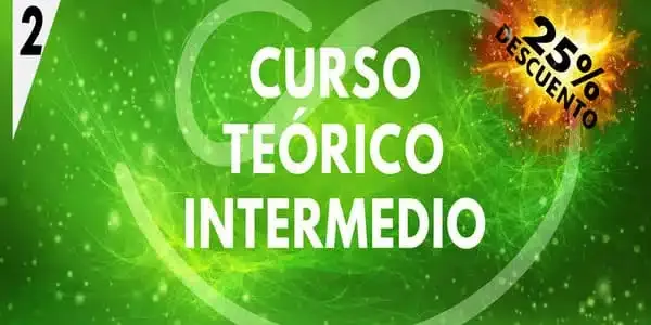 Curso Intermedio Teorico 2 - David D.