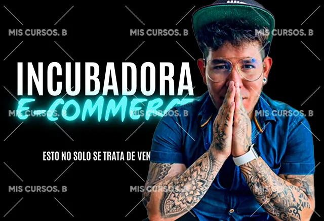 Incubadora E-Commerce - Fabian Hernandez